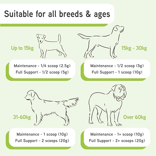 Lillidale ProJoint - Premium Anti-Inflamatory Dog Joint Supplement 500g -14 Active Ingredients include Green-Lipped Mussel, Chondroitin, Glucosamine, Collagen Matrix & Curcumin. Recommended by Vets - Image 6