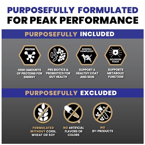 Image of VICTOR Super Premium Dog Food - Select Beef Meal & Brown Rice Formula for Immune and Gut Health - Gluten-Free Beef Meal Dry Dog Food for All Normally Active Dogs of All Life Stages, 5 lbs