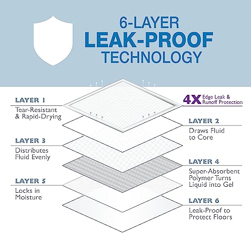 Four Paws Wee-Wee Almofadas de xixi super absorventes sem cheiro para cães e filhotes com borda Inst