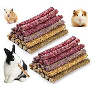 Rabbit Chew Toys for Teeth, Timothy Grass Carrot Sticks for Guinea Pig Hamster Chinchilla Squirrel Bunny Small Rodent Animals (40 pcs)