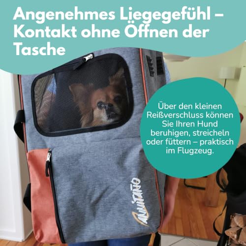 Annitaño Premium Hundeflugtasche 55x40x23 cm EUWI | Hundetasche Flugzeug & Reise wasserabweisend & belastbar bis 12 kg | stabile Hundetransporttasche mit Rucksackfunktion &Trolley-Befestigung