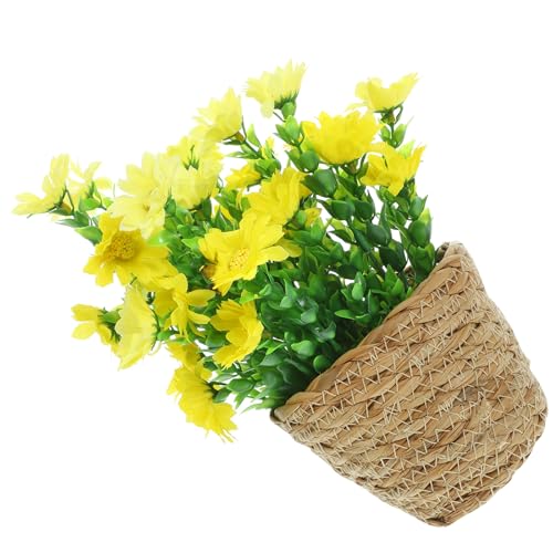 NUOBESTY lHAtFCNAƓ҉Ă̑g ^tFCN~ rOItBX̃fXNgbvp