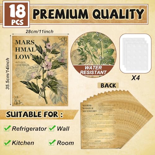 18PCS Vintage Herbal Medicine Posters Holistic Herbal Guide to Health Medicinal Herbs and Uses Posters Botanical Herbs Plant Knowledge Charts for Home Kitchen Herbarium Educational Herb Reference - Image 2
