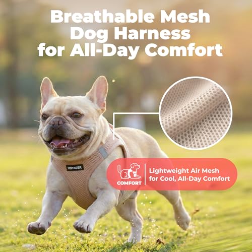 Image of Best Pet Supplies Voyager Step-in Air Harness - All Weather Mesh, Reflective, No Pull Harness for Dogs, Cats - Secure with Hook & Loop Fastener, Buckle, Double D-Rings - Khaki, XXXS