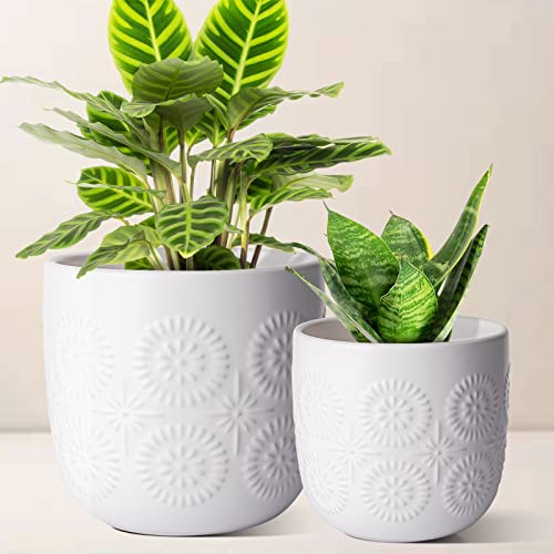 Jofamy Ceramic Pots For Indoor Plants, Houseplant Flower Pots 2 Set 6 In &4.7 In Indoor White Planters With Drainage, Spring Choice Christmas Plant Pot(Embossed Daisy) #TOP8