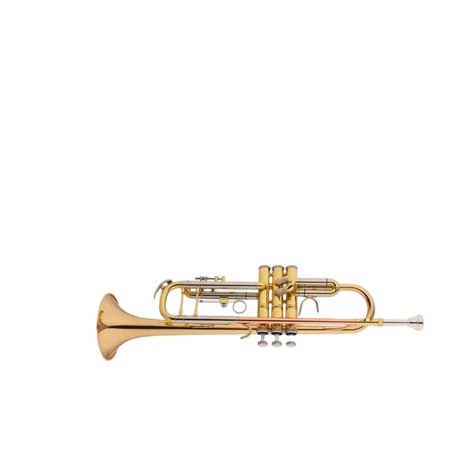 Trumpet Trompeta en si bemol de calidad profesional