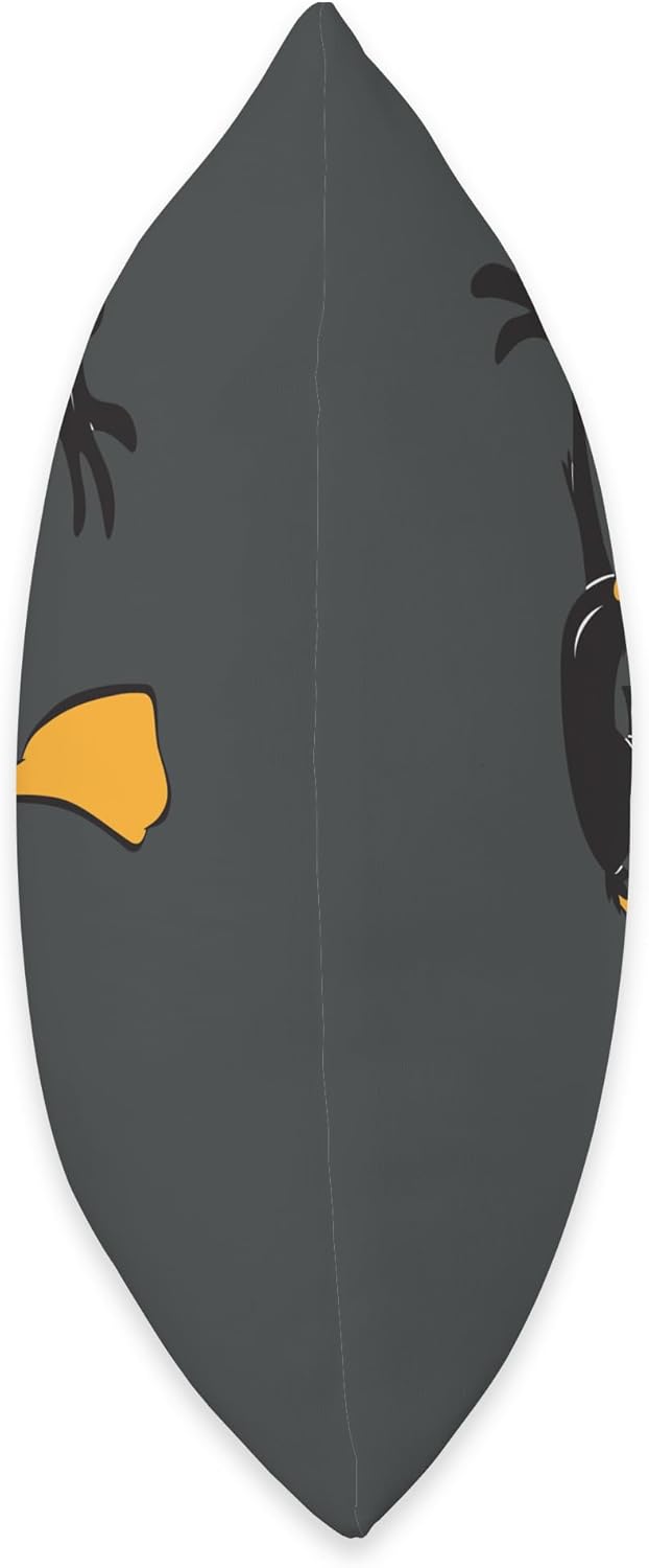 Looney Tunes Daffy Duck Throw Pillow