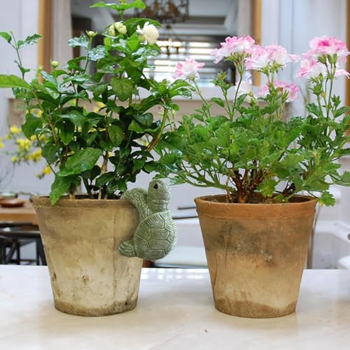 Image of The Decorshed Cute Climbing Tortoise Flower Pot Hugger Figurines Resin Hanging Turtle Statue Planter Pot Decorations for Home Garden Fence Balcony Patio Lawn Yard Ornaments (Pack of 1)