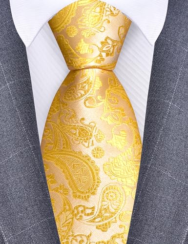 Image of GUSLESON 3.15 inch(8cm) Fashion Paisley Ties Mens Woven Jacquard Necktie for Wedding
