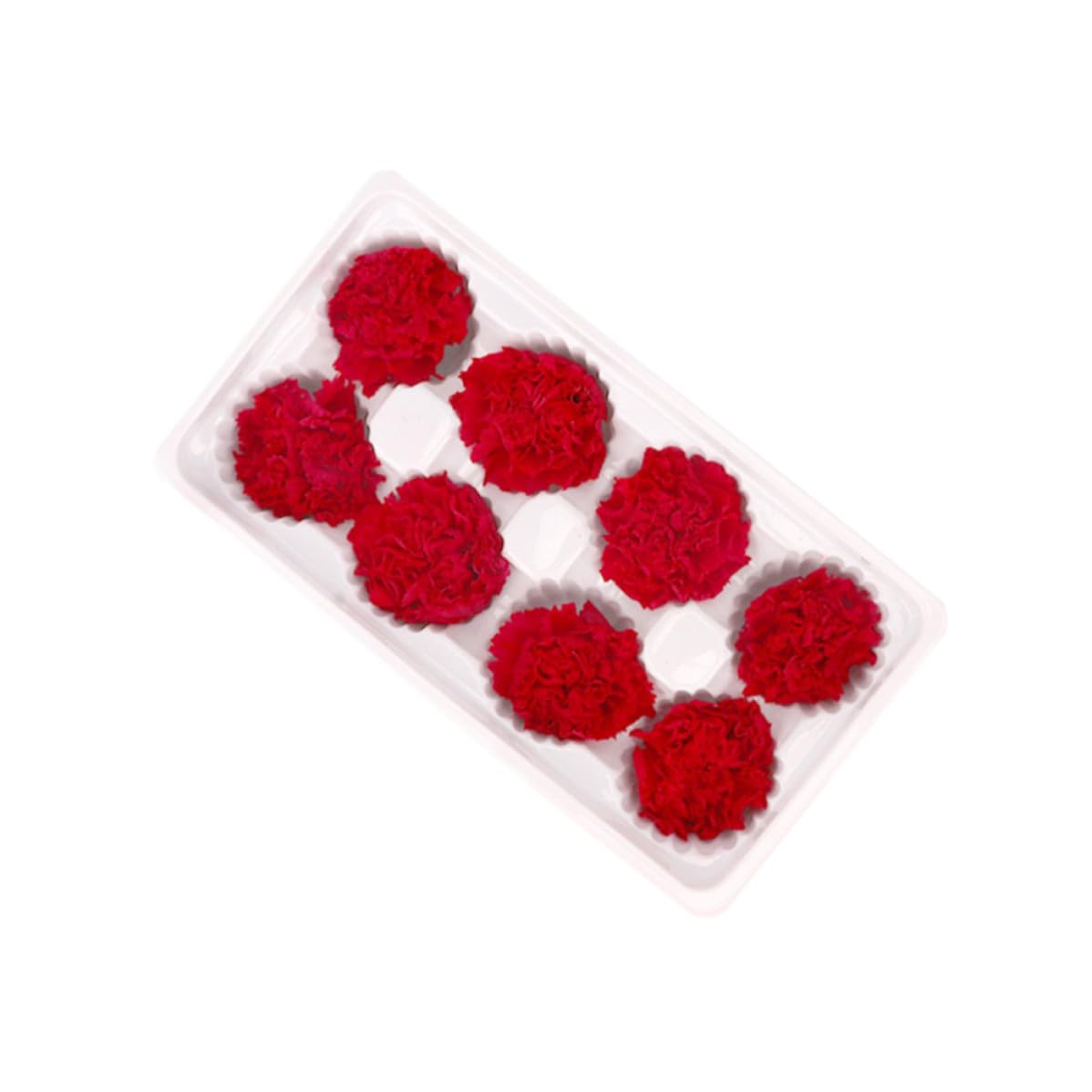 Clavel eterno rojo de 4-5 cm con textura natural segura en set de 8 flores secas decorativas