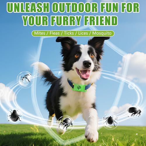Natural Flea and Tick Prevention Dog Tag – Waterproof Collar Pendant with 2 Extra Refills, Green, Safe for All Breeds Collar Not Included - Thumbnail 4