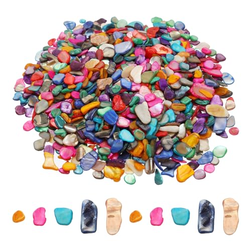 MECCANIXITY 500g Crushed Shells Irregular Natural Mosaic Sea Shell Fragments for Home Decoration Art Crafts DIY Projects Multicolor