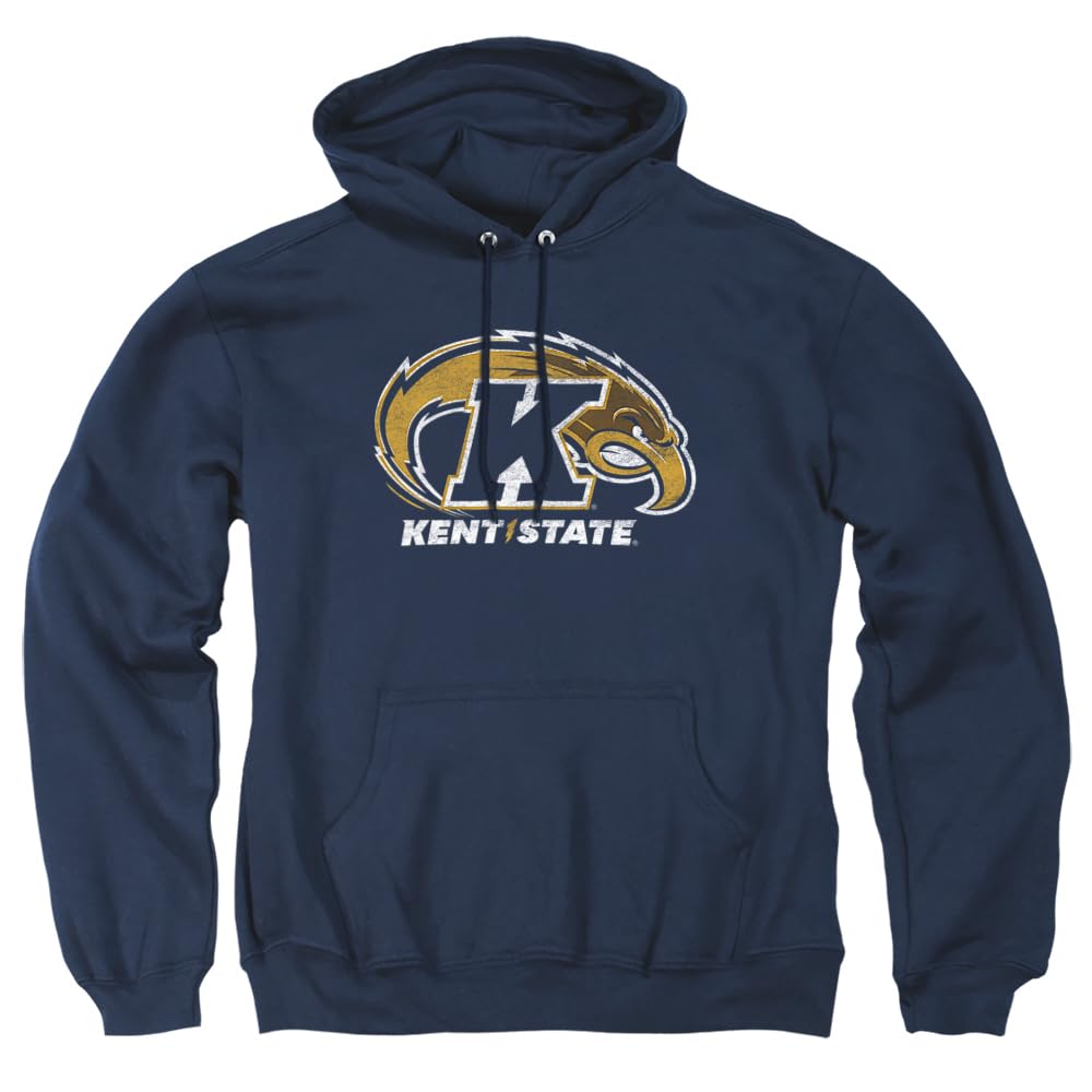 LOGOVISION Official Collegiate Distressed Primary Logo Adult Pullover Hoodie Collection — view 148