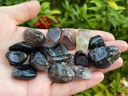 Image of GAF TREASURES 1 /2 LB Smoky Quartz Tumbled Stones, Polished Smoky Quartz Gemstone, Smoky Quartz Healing Crystals (Smoky Quartz)