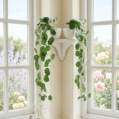 Image of Dekorly Artificial Hanging Garland with Pot - 100cm Rose Vine, 10cm Decorative Pot for Table, Shelf & Wall Decor (2, Vines-08)