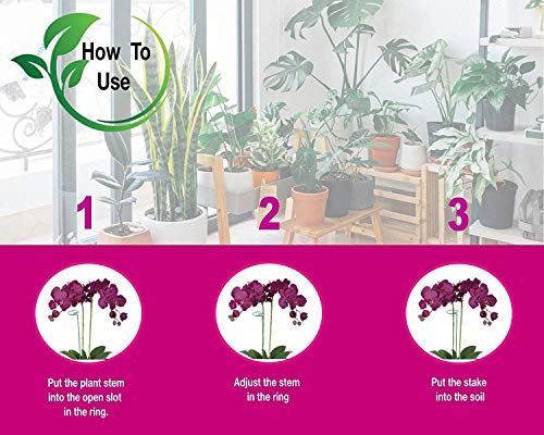 image for Greenpeas Plant Stake Support - 3-Inch Diameter Steel Support Stands w