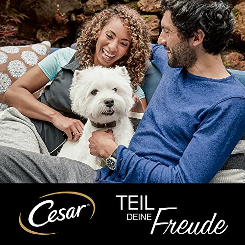 Cesar Adult Hundenassfutter Selektion in Sauce, 48 Portionsbeutel, 12x100g (4er Pack) – Ausgewogenes Premium Hundefutter nass, Auswahl mit Rind, Huhn, Lamm und Truthahn