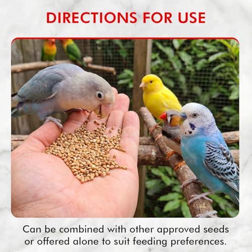 Morning Bird Japanese Millet Seed Bag 9 lbs - Healthy & Nutritious Pet Bird Food to Support Health & Immunity - Delicious Unique and Natural Flavor – Ideal Bird Feed for All Seed Eating Birds - Image 5