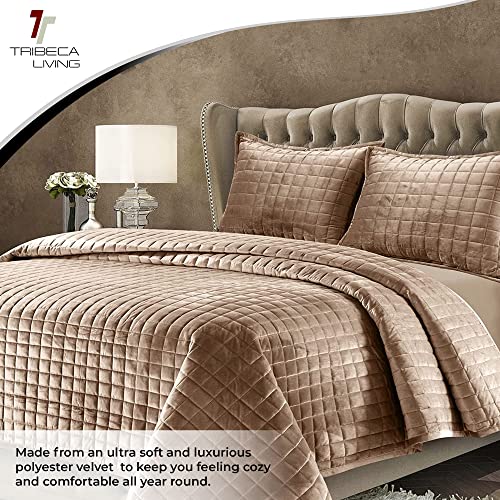 Tribeca Living Velvet King Quilt Set, Three-Piece Box Stitch Bedding Set Includes One Oversized Quilt & Two Sham Pillowcases, 260Gsm Super Soft Velvet, Florence/Taupe #TOP3