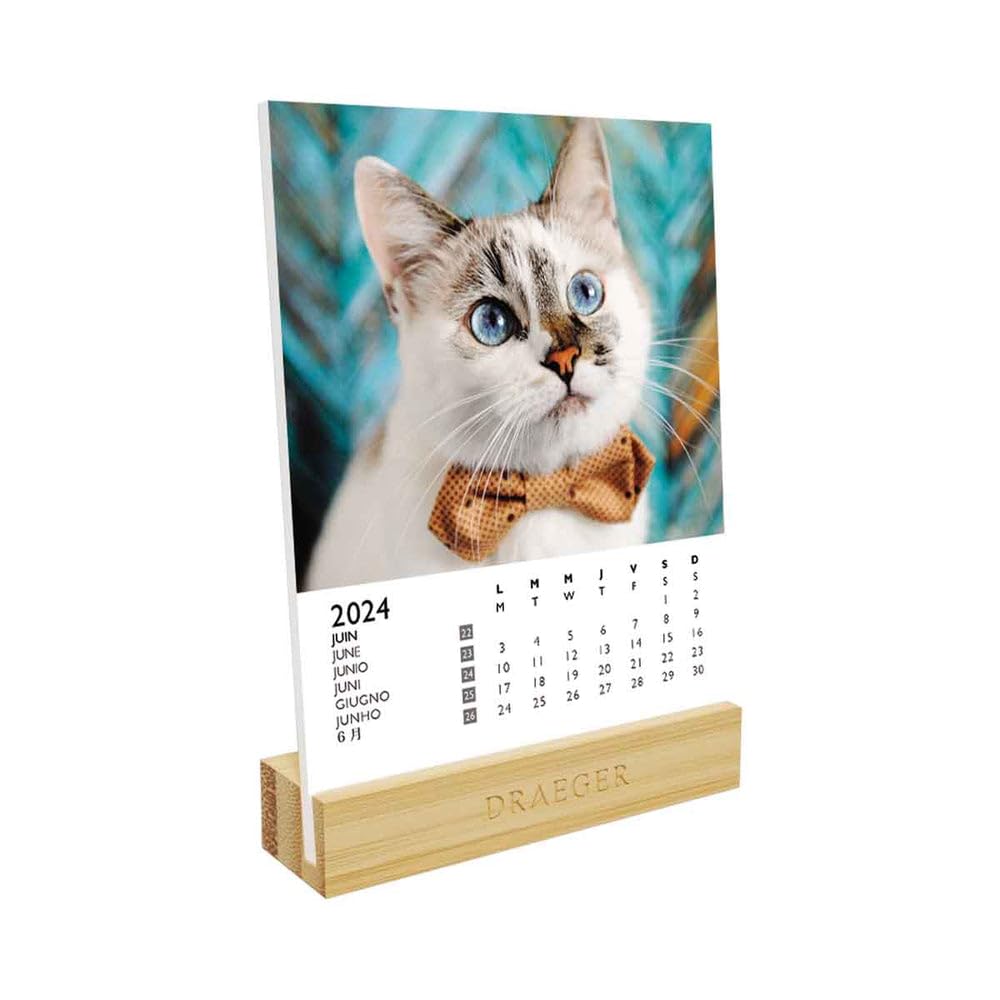 DRAEGER PARIS | Calendar on Base Cats 2024 | 12 x 16.5 cm | Year 2024 | 7 Languages | Monthly Desk Decoration Calendar | Bamboo Base | FSC® Certified Paper | Vegetable Inks