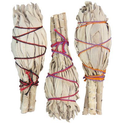 Smudge Sticks Bulk Mini California White Sage (pack of 24)