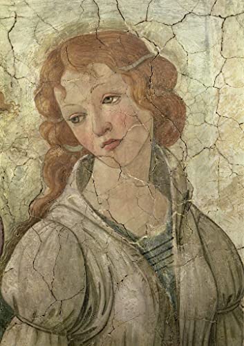 Tableau Vénus et les Trois Grâces Botticelli affiche décoration chambre 60x90cm