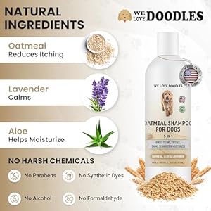 5-in-1-Premium-Oatmeal-Shampoo-for-Dogs-Gentle-for-Itchy-Sensitive-Skin-Provides-Itch-Relief-Hypoallergenic-Soothing-for-Dry-Skin-Moisturizing-Anti-Itch-Made-in-USA-16-oz-We-Love-Doodles - Cucciolini Doodles   5-in-1-Premium-Oatmeal-Shampoo-for-Dogs-Gentle-for-Itchy-Sensitive-Skin-Provides-Itch-Relief-Hypoallergenic-Soothing-for-Dry-Skin-Moisturizing-Anti-Itch-Made-in-USA-16-oz-We-Love-Doodles
