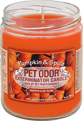 Image of Pet Odor Exterminator Candle Pumpkin & Spice