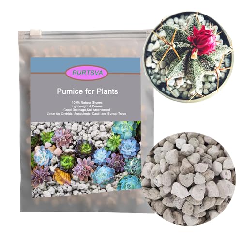 Rurtsva Horticultural Pumice for Plants 2QT, Natural Organic Pumice Stones for Succulent Cactus...