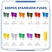 Giwiemi 220Pcs Standard Fuse Kit with 11 Sizes (2A - 40A) - Premium Car Fuses Assortment Kit, Ideal Automotive Fuses for Cars, Trucks & Motorcycles