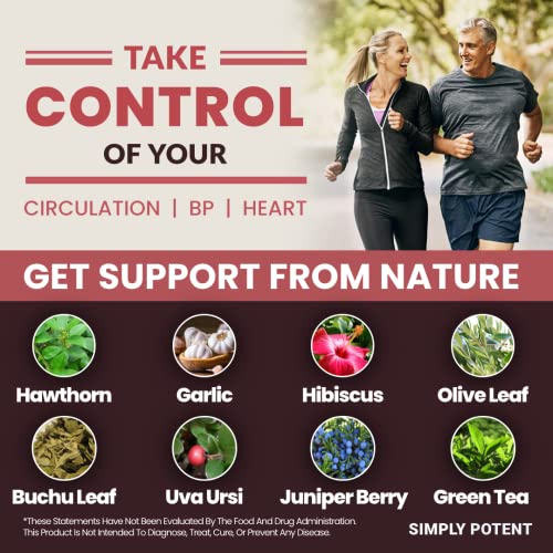 Blood Pressure Support Supplements - 13 Vitamins & Herbs - Folic Acid, Vitamins C B6 & B12, Hawthorn Olive Leaf Garlic Hibiscus, 90 Capsule #TOP4