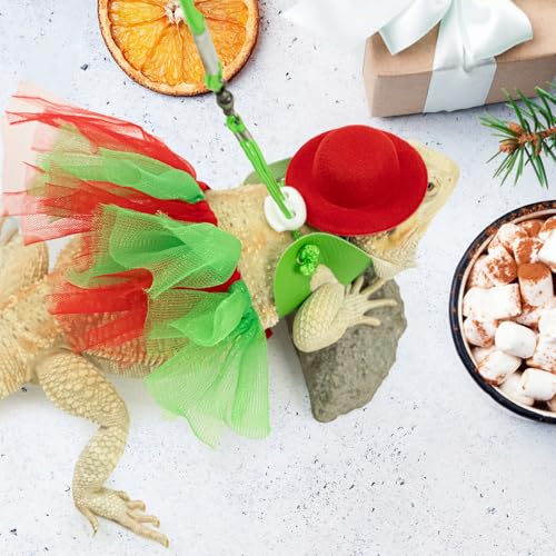 Wodison Fantasia de Natal Dragão Barbudo Tutu Saia Bowler Chapéu Arreio Arnês Réptil Natal Cosplay A