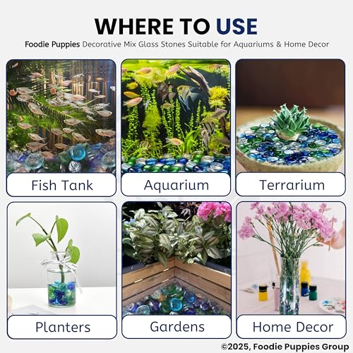 Image of Foodie Puppies Flat Glass Clear Stone for Aquariums, Fireplace, Firepit Glass for Indoor and Outdoor, Vase Filler, Hydroponics Plants, Home Decor and DIY Craft (800gm, Mix) (Glass Stone)