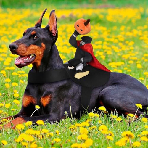 Disfraz Halloween Jinete sin Cabeza para Perros S miniatura 6