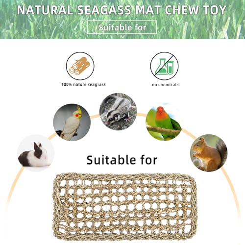 Image of Bird Seagrass Mat 16 x 7 inch Parrot Natural Grass Woven Net Hammock Parakeet Climbing Rope Ladder Mat Chew Toys Cage Accessories for Pigeon Cockatiel Conure Budgie Cockatoo Rat Hamster