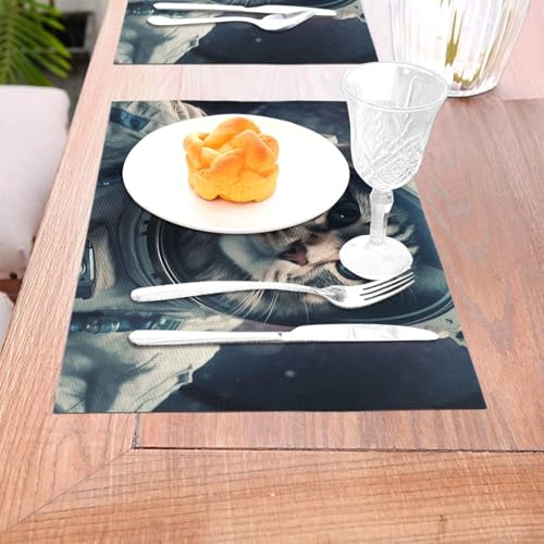 Set de table PVC anti-chaleur antidérapant chat de l'espace lavable