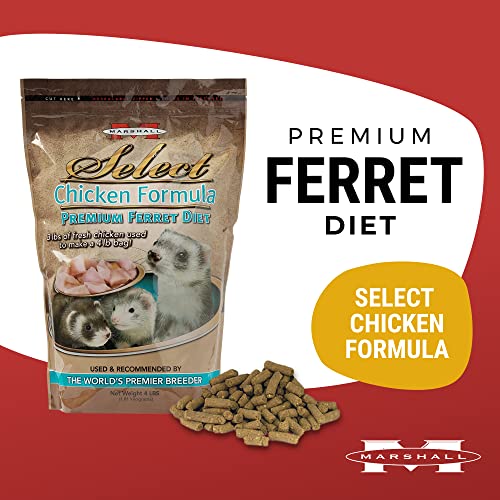 Marshall Pet Products 571993 Natural Complete Nutrition Premium Ferret Diet Food Select Chicken Formula thumb #1