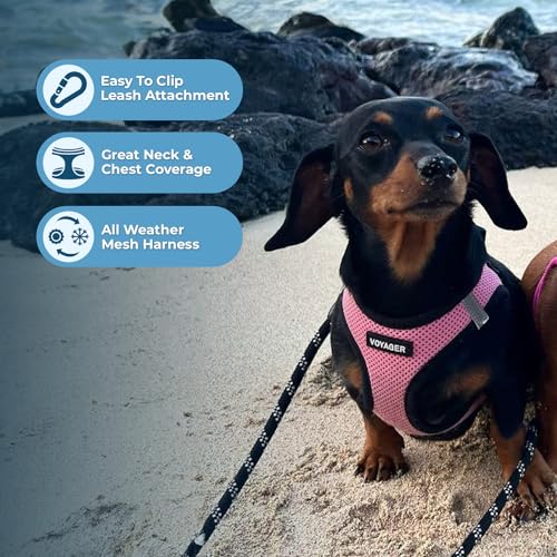 Image of All Weather Voyager Step-in Mesh Harness for Dogs / Cats by Best Pet Supplies - Breathable Material - Double Security Metal D-Rings + Strong velcro Fastener- Best Pet Essentials- Unique Dog Owner Gifts (Pink Base, X-Large)