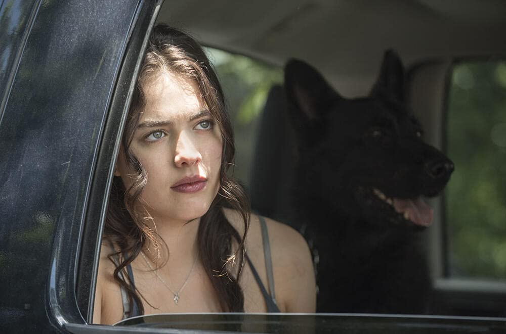 Coffret the leftovers, saison 2