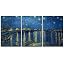 Starry Night Over the Rhone