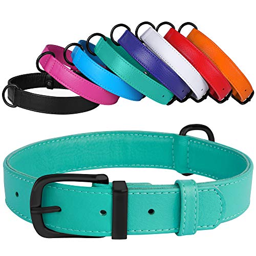 CollarDirect Leather Dog Collar 12 Colors Soft Padded Pet Collars Small Medium Large Puppy Green Black Pink White Red Blue Purple (Mint Green, Size L Neck Fit 16