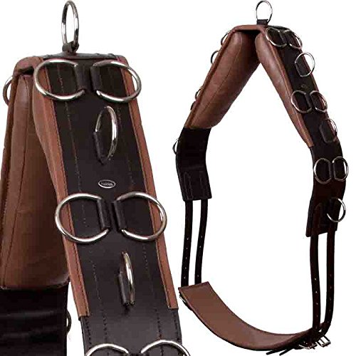 Heinick-Reitsport Qualitäts Leder Longiergurt 20 Ringe Warmblut Vollblut ~ Braun-Chesnut Cover