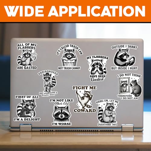 Image of MAIANEY [10Pcs, 3 inchx3 inch] Funny Raccoon Sticker, Animal Lover Raccoon Gift, Sarcastic Humor Sticker, Waterproof Vinyl Decal, Gifts Decorations for Hard Hat Laptop Water Bottle Phone Tumbler Window