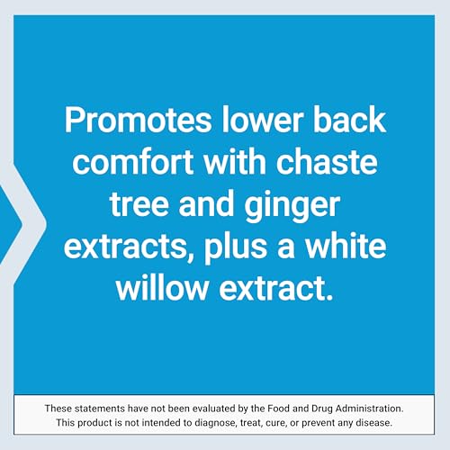 Life Extension Lower Back Relief
