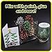 Ready 2 Learn Glitter - Festive - Set of 5