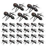 CADUFUELLY 50 PCS Fake Ants, Prank Plastic Black Ant Realistic Ant Halloween Joke Toys for Halloween Party Decor Supplies April Fool's Day Props