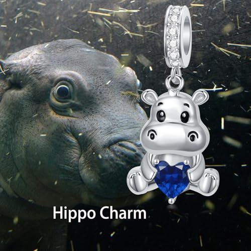 PROESS 925 Sterling Silver Hippo Charm 12 Months Birthstone Hippopotamus Charm for Hippo Bracelets Hippo Bead Hippo Jewelry for Women Hippo Lovers2