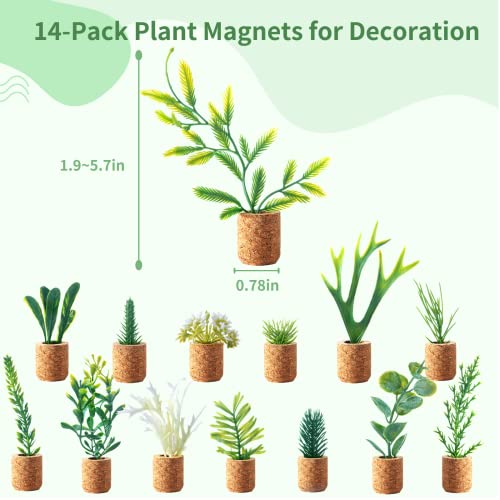 Imanes decorativos de plantas suculentas para refrigerador miniatura 3