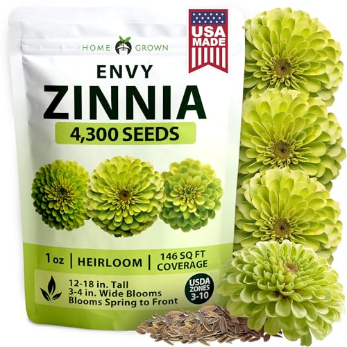 Image of HOME GROWN Envy Zinnia Seeds Bulk Mix | 4,300 Rare Lime Green Annual Flower Seed for Planting | Fast-Growing Premium Garden Companion for 2026 Bloom | Zinnia elegans | 1 oz