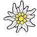 Generisch Edelweiss - Adesivo con stella alpina (R10/1) (15 cm di diametro)